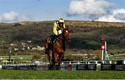 14 March 2023; State Man, with Paul Townend up, during day one of the Cheltenham Racing Festival at Prestbury Park in Cheltenham, England. Photo by Harry Murphy/Sportsfile
