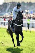 14 March 2023; Jockey Nico de Boinville and Constitution Hill go to post before the Unibet Champion Hurdle Challenge Trophy during day one of the Cheltenham Racing Festival at Prestbury Park in Cheltenham, England. Photo by Seb Daly/Sportsfile