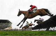 15 March 2023; Maskada, with Darragh O'Keeffe up, jumps the last on their way to winning the Johnny Henderson Grand Annual Challenge Cup Handicap Chase during day two of the Cheltenham Racing Festival at Prestbury Park in Cheltenham, England. Photo by Harry Murphy/Sportsfile