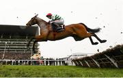 15 March 2023; American Mike, with Davy Russell up, jumps the last during the Ballymore Novices' Hurdle during day two of the Cheltenham Racing Festival at Prestbury Park in Cheltenham, England. Photo by Harry Murphy/Sportsfile