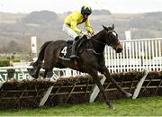 15 March 2023; Good Land, with Michael O'Sullivan up, during day two of the Cheltenham Racing Festival at Prestbury Park in Cheltenham, England. Photo by Harry Murphy/Sportsfile