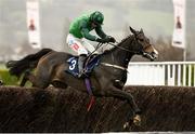 15 March 2023; Bronn, with Daryl Jacob up, jumps the last during the Broen Advisory Novices' Chase during day two of the Cheltenham Racing Festival at Prestbury Park in Cheltenham, England. Photo by Harry Murphy/Sportsfile