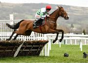 15 March 2023; American Mike, with Davy Russell up, jumps the last first time round during day two of the Cheltenham Racing Festival at Prestbury Park in Cheltenham, England. Photo by Harry Murphy/Sportsfile