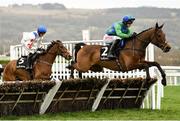 15 March 2023; Champ Kiely, with Danny Mullins up, right, jumps the last first time round during day two of the Cheltenham Racing Festival at Prestbury Park in Cheltenham, England. Photo by Harry Murphy/Sportsfile