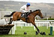 15 March 2023; Hermes Allen, with Harry Cobden up, jumps the last during the Ballymore Novices' Hurdle during day two of the Cheltenham Racing Festival at Prestbury Park in Cheltenham, England. Photo by Harry Murphy/Sportsfile