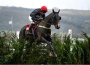 15 March 2023; Coup De Pinceau, with George Hiscock up, jumps the last during the Glenfarclas Chase during day two of the Cheltenham Racing Festival at Prestbury Park in Cheltenham, England. Photo by Harry Murphy/Sportsfile