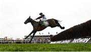 15 March 2023; Gerri Colombe, with Jordan Gainford up, jumps the last in the Broen Advisory Novices' Chase during day two of the Cheltenham Racing Festival at Prestbury Park in Cheltenham, England. Photo by Harry Murphy/Sportsfile