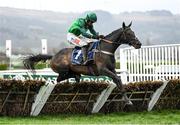 15 March 2023; Call Me Lord, with Daryl Jacob up, during day two of the Cheltenham Racing Festival at Prestbury Park in Cheltenham, England. Photo by Harry Murphy/Sportsfile