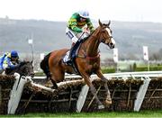 15 March 2023; Camprond, with Aidan Coleman up, jumps the last in the Coral Cup Handicap Hurdle during day two of the Cheltenham Racing Festival at Prestbury Park in Cheltenham, England. Photo by Harry Murphy/Sportsfile