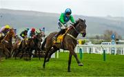 16 March 2023; You Wear It Well, with Gavin Sheehan up, race clear of the last on their way to winning the Jack De Bromhead Mares' Novices' Hurdle during day three of the Cheltenham Racing Festival at Prestbury Park in Cheltenham, England. Photo by Seb Daly/Sportsfile