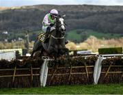 17 March 2023; Lossiemouth, with Paul Townend up, jumps the last on their way to winning the JCB Triumph Hurdle during day four of the Cheltenham Racing Festival at Prestbury Park in Cheltenham, England. Photo by Harry Murphy/Sportsfile