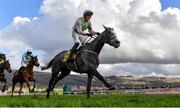 17 March 2023; Lossiemouth, with Paul Townend up, celebrate winning the JCB Triumph Hurdle during day four of the Cheltenham Racing Festival at Prestbury Park in Cheltenham, England. Photo by Seb Daly/Sportsfile Photo by Seb Daly/Sportsfile