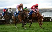 17 March 2023; Pied Piper, with Davy Russell up, who finished second, leads the eventual winner Faivoir, with Bridget Andrews up, over the last during the McCoy Contractors County Handicap Hurdle during day four of the Cheltenham Racing Festival at Prestbury Park in Cheltenham, England. Photo by Harry Murphy/Sportsfile