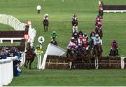 17 March 2023; Mark Walsh's mount Corbetts Cross, extreme left, collide with the wing of the last hurdle as Stay Away Fay, with Harry Cobden up, jump the last on their way to winning the Albert Bartlett Novices' Hurdle during day four of the Cheltenham Racing Festival at Prestbury Park in Cheltenham, England. Photo by Seb Daly/Sportsfile