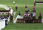 17 March 2023; Mark Walsh's mount Corbetts Cross, extreme left, collide with the wing of the last hurdle as Stay Away Fay, with Harry Cobden up, jump the last on their way to winning the Albert Bartlett Novices' Hurdle during day four of the Cheltenham Racing Festival at Prestbury Park in Cheltenham, England. Photo by Seb Daly/Sportsfile