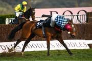 17 March 2023; Jockey Lily Bradstock is unseated from  Myth Buste, at the last, during the St James's Place Festival Challenge Cup Open Hunters' Chase during day four of the Cheltenham Racing Festival at Prestbury Park in Cheltenham, England. Photo by Harry Murphy/Sportsfile