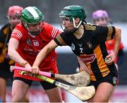 19 March 2023; Michelle Teehan of Kilkenny in action against Hannah Looney of Cork during the Very Camogie League Division 1A match between Kilkenny and Cork at UPMC Nowlan Park in Kilkenny. Photo by Piaras Ó Mídheach/Sportsfile