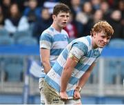 17 March 2023; Mikey Yarr of Blackrock College during the Bank of Ireland Leinster Schools Senior Cup Final match between Gonzaga College and Blackrock Collegee at RDS Arena in Dublin. Photo by Sam Barnes/Sportsfile