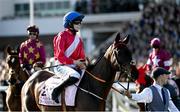 17 March 2023; A Plus Tard, with Rachael Blackmore up, go to post for the Boodles Cheltenham Gold Cup during day four of the Cheltenham Racing Festival at Prestbury Park in Cheltenham, England. Photo by Harry Murphy/Sportsfile