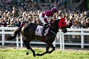 17 March 2023; Conflated, with Davy Russell up, go to post for the Boodles Cheltenham Gold Cup during day four of the Cheltenham Racing Festival at Prestbury Park in Cheltenham, England. Photo by Harry Murphy/Sportsfile