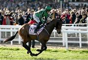 17 March 2023; Hewick, with Jordan Gainford up, go to post for the Boodles Cheltenham Gold Cup during day four of the Cheltenham Racing Festival at Prestbury Park in Cheltenham, England. Photo by Harry Murphy/Sportsfile