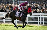 17 March 2023; Conflated, with Davy Russell up, go to post for the Boodles Cheltenham Gold Cup during day four of the Cheltenham Racing Festival at Prestbury Park in Cheltenham, England. Photo by Harry Murphy/Sportsfile