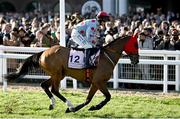 17 March 2023; Sounds Russian, with Sean Quinlan up, go to post for the Boodles Cheltenham Gold Cup during day four of the Cheltenham Racing Festival at Prestbury Park in Cheltenham, England. Photo by Harry Murphy/Sportsfile