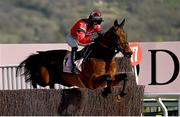 17 March 2023; Ahoy Senor, with Derek Fox up, during the Boodles Cheltenham Gold Cup on day four of the Cheltenham Racing Festival at Prestbury Park in Cheltenham, England. Photo by Harry Murphy/Sportsfile