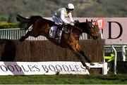 17 March 2023; Royale Pagaille, with Charlie Deutsch up, during the Boodles Cheltenham Gold Cup on day four of the Cheltenham Racing Festival at Prestbury Park in Cheltenham, England. Photo by Harry Murphy/Sportsfile