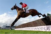 17 March 2023; Ahoy Senor, with Derek Fox up, during the Boodles Cheltenham Gold Cup on day four of the Cheltenham Racing Festival at Prestbury Park in Cheltenham, England. Photo by Harry Murphy/Sportsfile