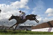 17 March 2023; Royale Pagaille, with Charlie Deutsch up, during the Boodles Cheltenham Gold Cup on day four of the Cheltenham Racing Festival at Prestbury Park in Cheltenham, England. Photo by Harry Murphy/Sportsfile