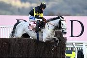 17 March 2023; Eldorado Allen, with Brendan Powell up, during the Boodles Cheltenham Gold Cup on day four of the Cheltenham Racing Festival at Prestbury Park in Cheltenham, England. Photo by Harry Murphy/Sportsfile