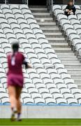 26 March 2023; Tressa Looney, mother of Cork player Hannah Looney and her dog Libby watch from the stands during the Very Camogie League Division 1A match between Kilkenny and Galway at Páirc Ui Chaoimh in Cork. Photo by Eóin Noonan/Sportsfile