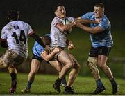 31 March 2023; Colm Hogan of DUFC in action against Jack Ringrose, left, and Jack Boyle of UCD during the annual rugby colours match between University College Dublin and Dublin University at the UCD Bowl in Belfield, Dublin. Photo by Sam Barnes/Sportsfile