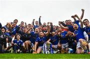1 April 2023; Cavan players celebrate after the Allianz Hurling League Division 3B Final match between Cavan and Leitrim at GAA National Games Development Centre in Sport Ireland Campus in Dublin. Photo by David Fitzgerald/Sportsfile