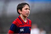 1 April 2023; Action from the Bank of Ireland half-time minis match between Edenderry and Clontarf at the Heineken Champions Cup Round of 16 match between Leinster and Ulster at Aviva Stadium in Dublin. Photo by Sam Barnes/Sportsfile