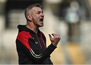 2 April 2023; Derry manager Rory Gallagher during the Allianz Football League Division 2 Final match between Dublin and Derry at Croke Park in Dublin. Photo by Sam Barnes/Sportsfile