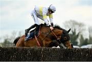 8 April 2023; Jockey Michael O'Sullivan and mount Time To Rocco narrowly avoid falling at the last during the BoyleSports Mares Novice Steeplechase on day one of the Fairyhouse Easter Festival at Fairyhouse Racecourse in Ratoath, Meath. Photo by Seb Daly/Sportsfile