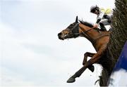 8 April 2023; Jockey Michael O'Sullivan and mount Time To Rocco narrowly avoid falling at the last during the BoyleSports Mares Novice Steeplechase on day one of the Fairyhouse Easter Festival at Fairyhouse Racecourse in Ratoath, Meath. Photo by Seb Daly/Sportsfile