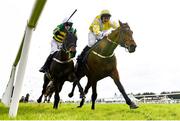8 April 2023; Risk Belle, left, with Mark Walsh up, on their way to winning the RYBO Handicap Hurdle, from Monbeg Park, with Brian Lawless up, following a steward's enquiry, on day one of the Fairyhouse Easter Festival at Fairyhouse Racecourse in Ratoath, Meath. Photo by Seb Daly/Sportsfile