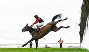 9 April 2023; Whiskeywealth, with John Shinnick up, falls at the last after leading the BoyleSports Novice Handicap Steeplechase on day two of the Fairyhouse Easter Festival at Fairyhouse Racecourse in Ratoath, Meath. Photo by Harry Murphy/Sportsfile