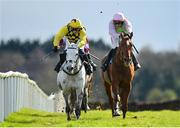 10 April 2023; Asterion Forlonge, left, with Paul Townend up, on their way to winning the Rathbarry & Glenview Studs Hurdle, from second place Monkfish, right, with Danny Mullins up, during day three of the Fairyhouse Easter Festival at Fairyhouse Racecourse in Ratoath, Meath. Photo by Seb Daly/Sportsfile