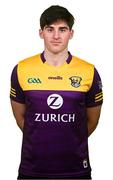 6 March 2023; Shane Reck during a Wexford hurling squad portrait session at Wexford GAA Centre of Excellence in Ferns, Wexford. Photo by Eóin Noonan/Sportsfile