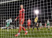14 April 2023; Shane Griffin of Shelbourne after his side conceded a second goal, scored by Roberto Lopes of Shamrock Rovers, not pictured, during the SSE Airtricity Men's Premier Division match between Shamrock Rovers and Shelbourne at Tallaght Stadium in Dublin. Photo by Seb Daly/Sportsfile