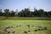 17 April 2023; Leinster players warmup during a Leinster Rugby squad training session at St Peter's College in Johannesburg, South Africa. Photo by Harry Murphy/Sportsfile