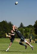 20 April 2023; Nick McCarthy and Brian Deeny during a Leinster rugby squad training session at Pretoria Boys High School in Pretoria, South Africa Photo by Harry Murphy/Sportsfile