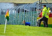 23 April 2023; A young Wicklow supporter climbs through the fence onto the pitch during the Leinster GAA Football Senior Championship Quarter-Final match between Kildare and Wicklow at Netwatch Cullen Park in Carlow. Photo by Tyler Miller/Sportsfile