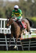26 April 2023; Ballybawn Belter, with Charlie O'Dwyer up, jumps the last on their way to winning the Adare Manor Opportunity Series Final Handicap Hurdle during day two of the Punchestown Festival at Punchestown Racecourse in Kildare. Photo by Seb Daly/Sportsfile