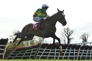 26 April 2023; Ballybawn Belter, with Charlie O'Dwyer up, jumps the last on their way to winning the Adare Manor Opportunity Series Final Handicap Hurdle during day two of the Punchestown Festival at Punchestown Racecourse in Kildare. Photo by Seb Daly/Sportsfile