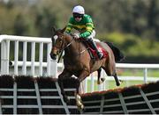 26 April 2023; Ballybawn Belter, with Charlie O'Dwyer up, jumps the last on their way to winning the Adare Manor Opportunity Series Final Handicap Hurdle during day two of the Punchestown Festival at Punchestown Racecourse in Kildare. Photo by Seb Daly/Sportsfile